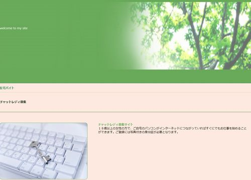 在宅バイト